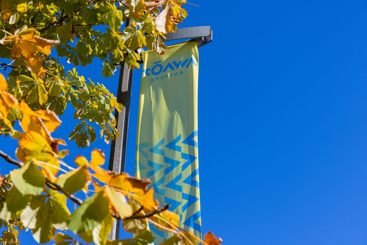 Image of a Kōawa Studios flag on a pole, seen through the trees.